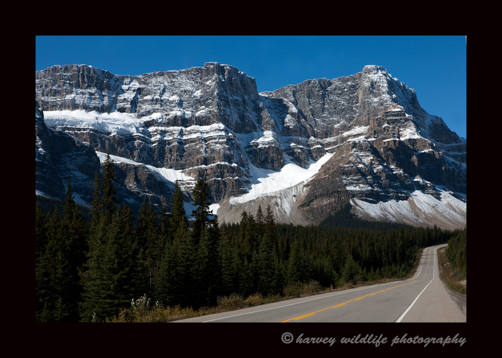 The Jasper to Banff Highway is arguably the most beautiful four hour stretch of highway in Canada and an amazing drive on a sunny day.