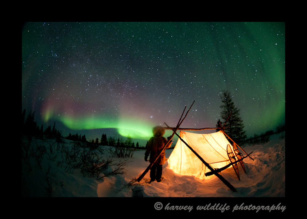 Northern_Lights_and_tent