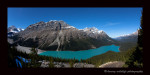 Peyto Lake is just off the Jasper- Banff highway. There is a look out point at the end of a steep trail just ten minutes from the parking lot.