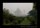 We were really excited to get to the Taj Mahal to photograph it from across the river. Unfortunately by the time we go there, we had lost that nice evening light, the river was low and the grounds across the river are quite junky looking, so this was the only image that I managed to salvage.