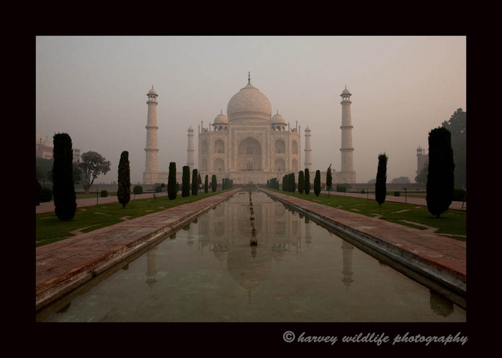This picture of the Taj Mahal is what you see as you come in through the front gates. 