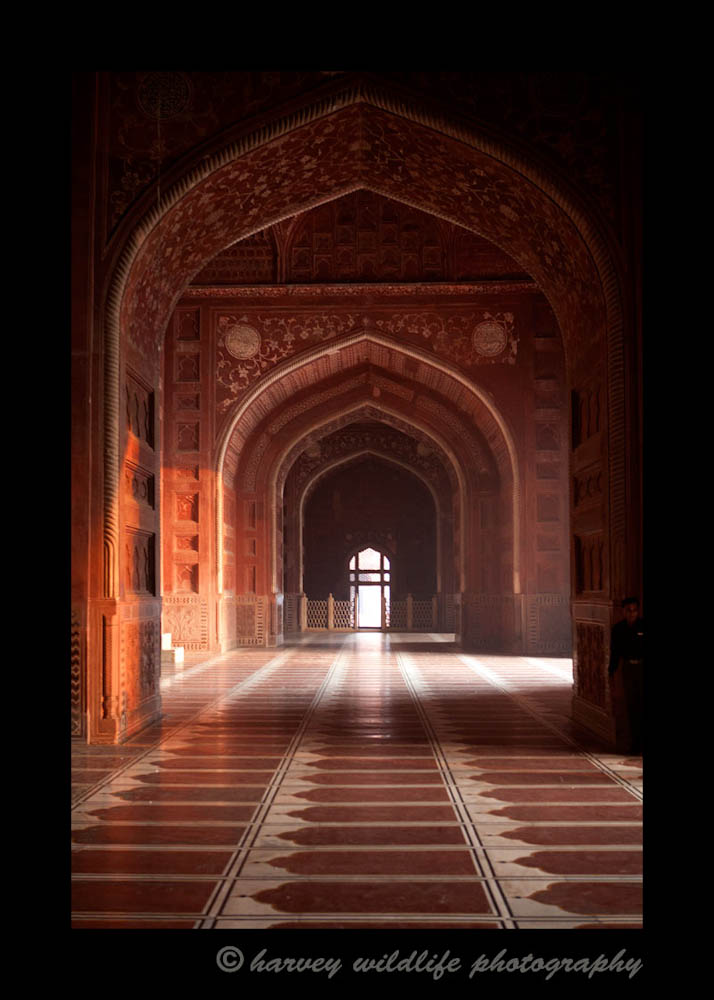 There is a mosque on either side of the Taj Mahal. This is the hallway of one the mosque on the west side.