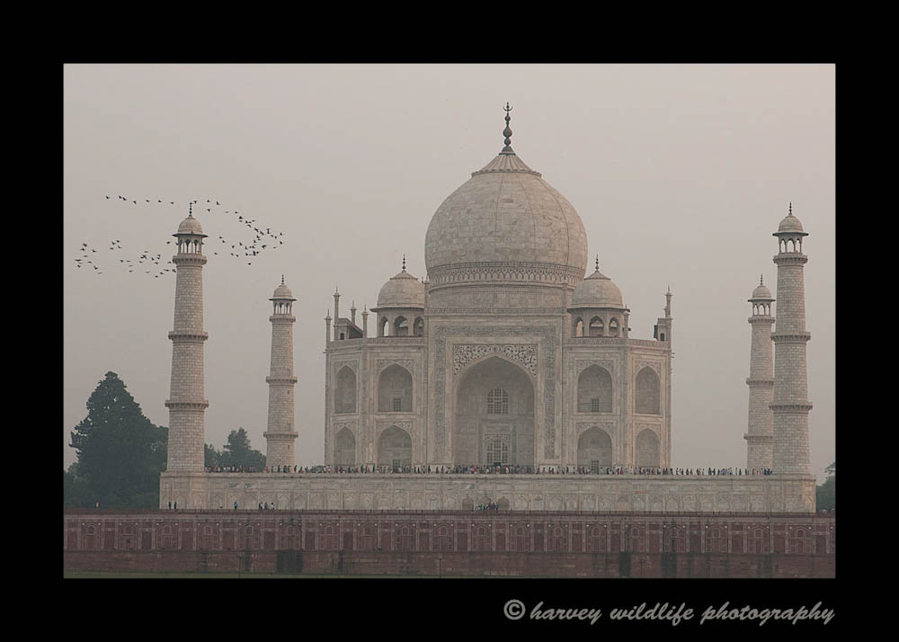 This picture was taken directly across the river from the Taj Mahal.