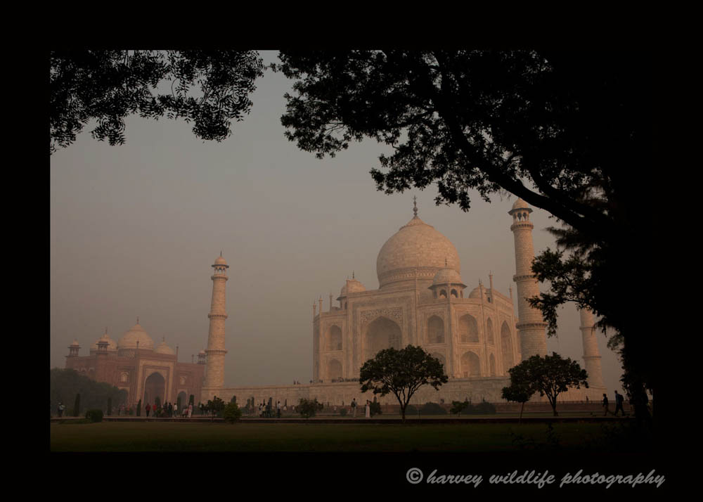 This photograph was taken from the grounds in the Taj Mahal. There is a masoleum on either side of the Taj. The building on the left is the masoleum on the east side.