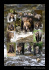 This collage was made as memory of the three days that we spent photographing the grizzly bears at Knight Inlet. The government allows each company to take tourists to see the bears for two hours each day during the salmon run. It was fun watching the grizzlies fishing, playing, fighting, eating and just generally being bears in a bear society. During those three days we saw up to 17 bears each day.