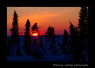 After a successful day of photographing a polar bear family, I took a quick sunset picture on the way back to the van.