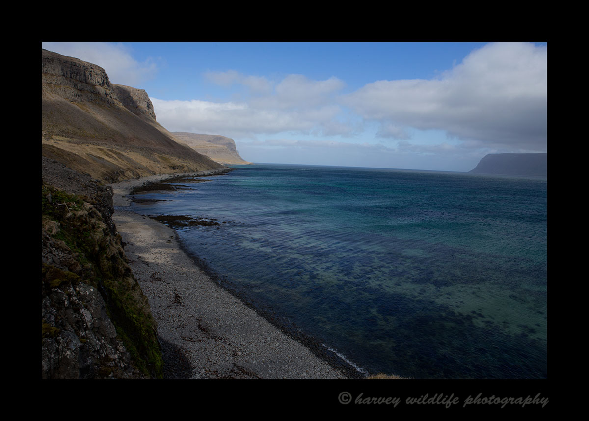 Picture of west fjords in Iceland not far from Latrabjarg cliffs.