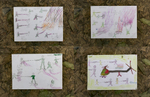 Childrens drawings, depicting horrifying scenes they witnessed in Myanmar