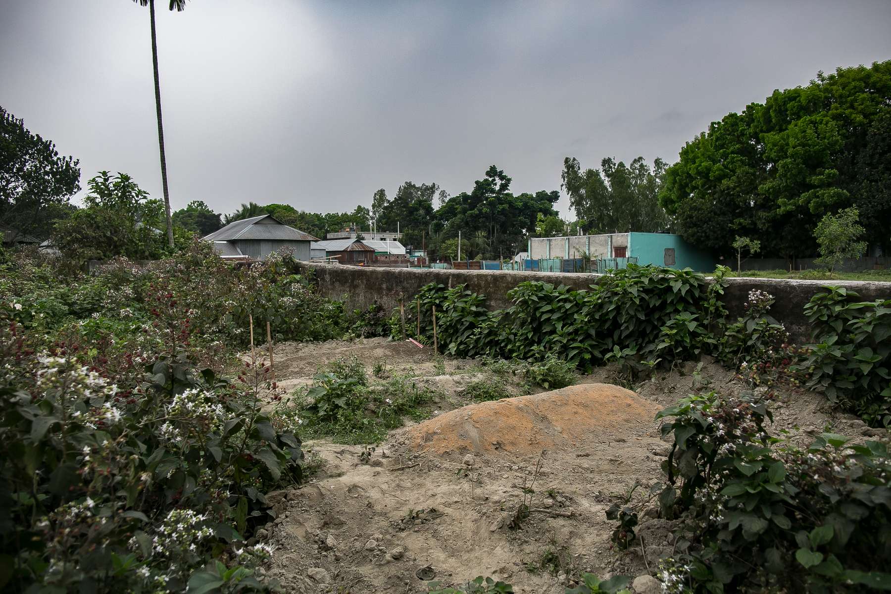 A graveyard for sex workers is seen in Tangail, Bangladesh. Women who work in the brothel are not permitted to be buried in the town's graveyard.