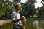 Rusmot Ali works on their fish farm in Mymensingh, Bangladesh