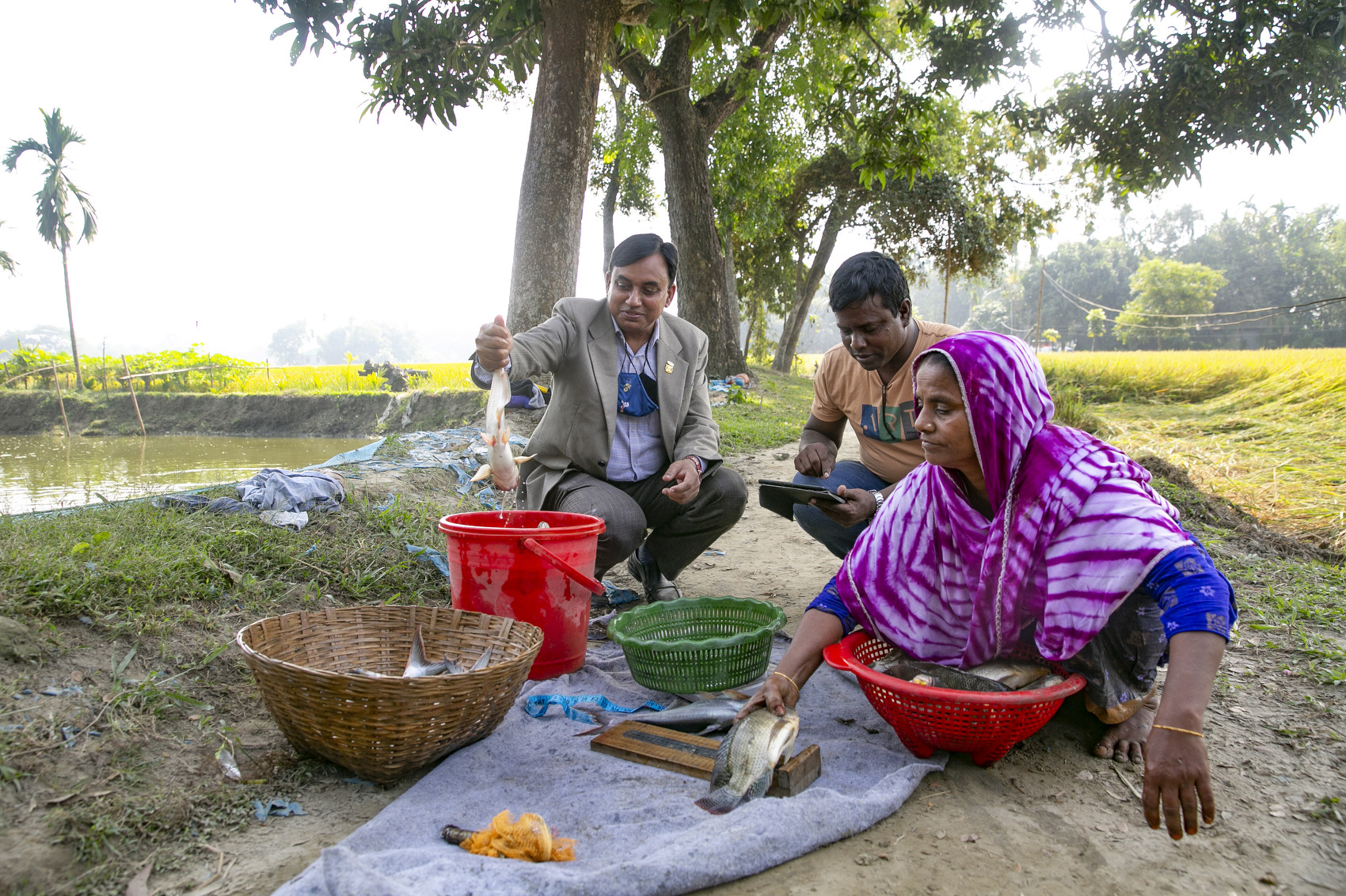 Sahina Khatum and researchers Mohammad Saidur Rahman and Madhu Sudon Dey work on a fish farm in Mymensingh, Bangladesh