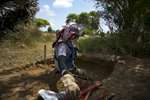 A female de-miner works to clear mines in Muhamalai, one of the biggest minefields in the world,