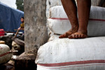 In an effort to maximize the capacity they can transport to larger markets, drivers generally compress tea sacks by foot before loading their trucks.