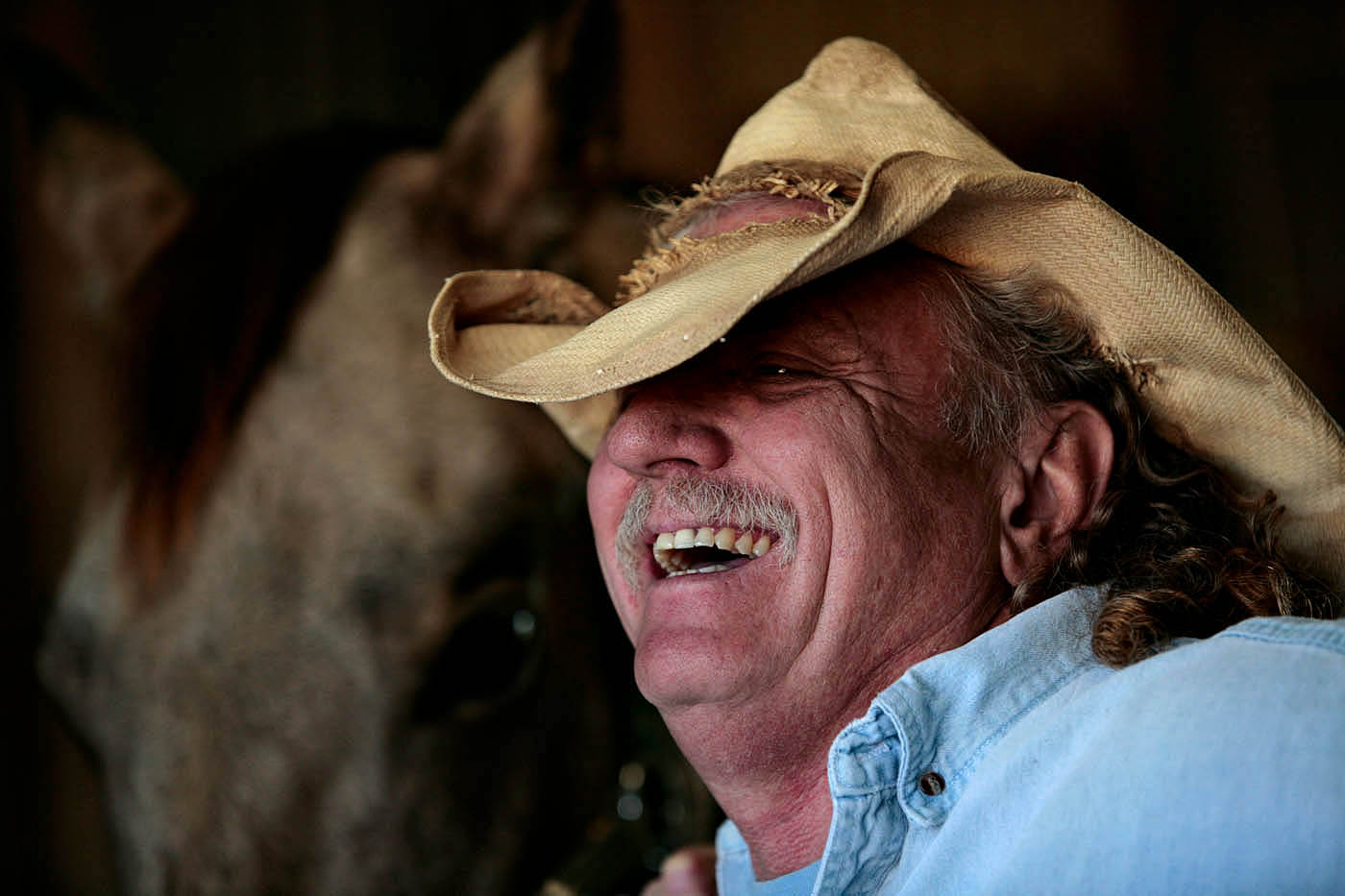 October 20, 2007 - Buddy Marrick holds one of his quarter horses while she is reshoed in Gary Gorley's barn in Danville, Kentucky. The two men trade and breed horses and keep an eye on each other's land. Marrick doen't have a barn, so Gorley lets him use his. 