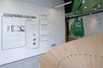 BSA Urban Timber: from seed to city exhibition