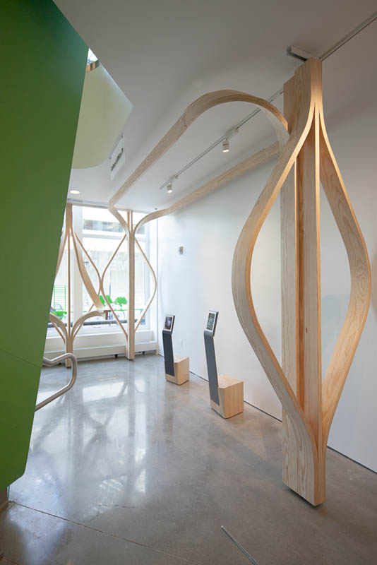 BSA Urban Timber: from seed to city exhibition