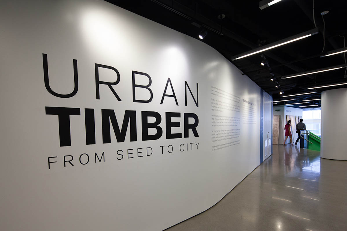 BSA Urban Timber: from seed to city exhibition