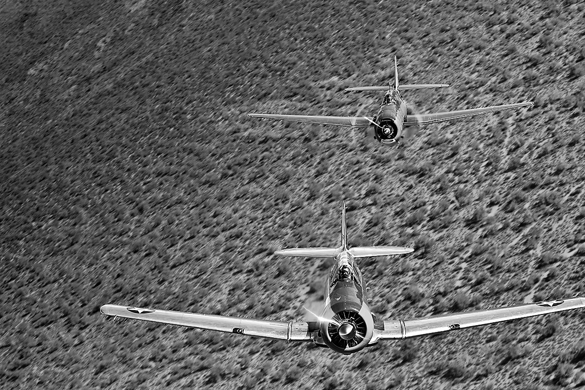 T-6 Texan TBM-3 Avenger,Image no: 12-003543.bw   Click HERE to Add to Cart