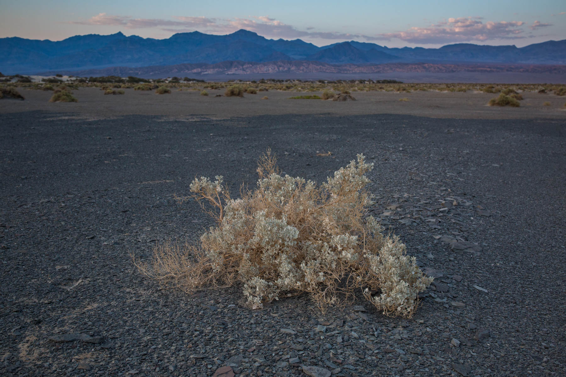 Death Valley National Park, USA