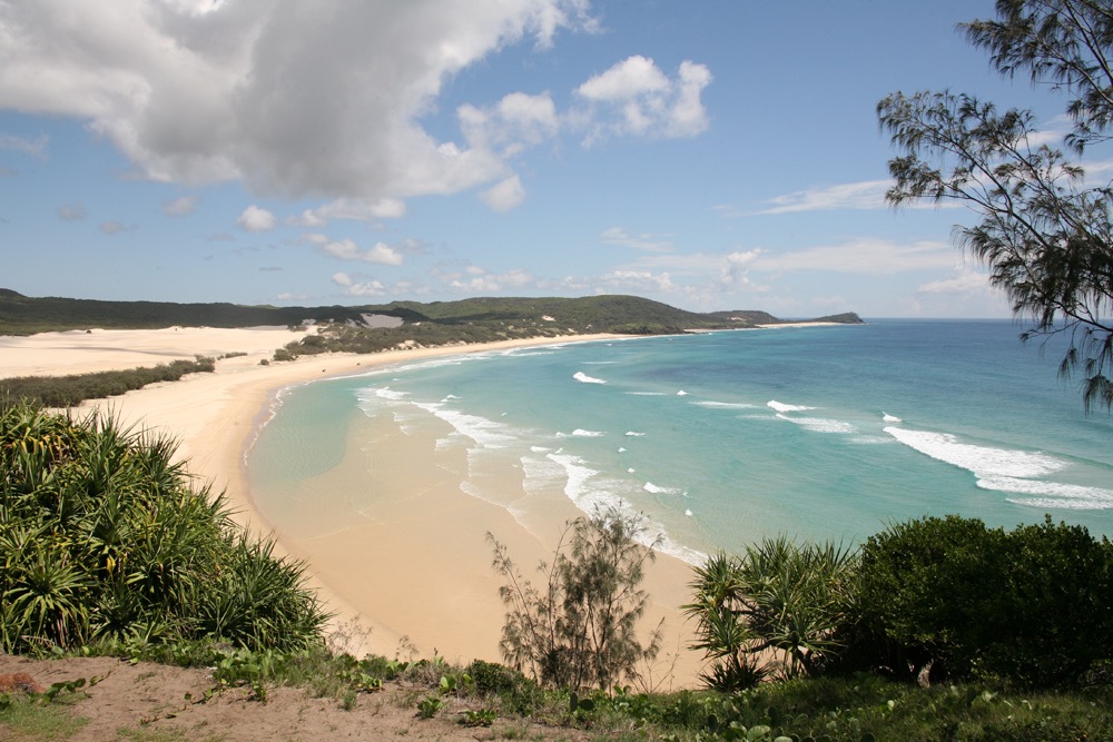 Fraser Island is the largest sand island in the world and is more than 120km long and 22km across at its widest point. 