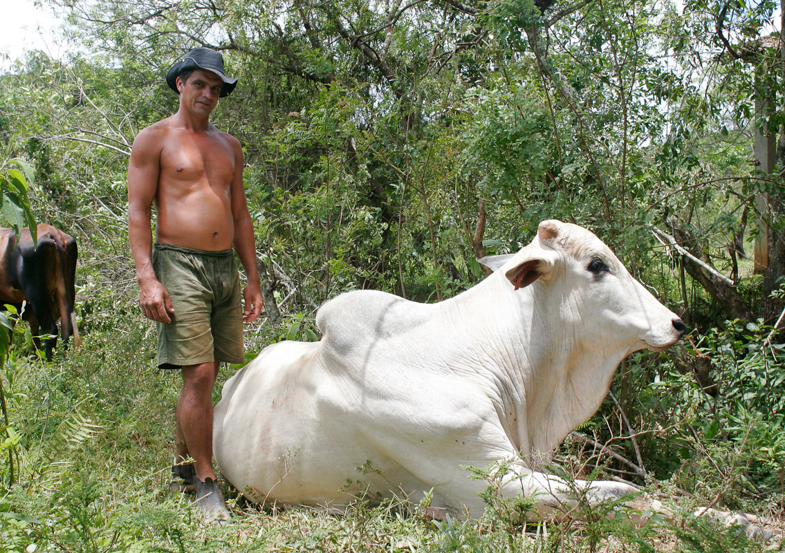 A farmer in Tiradentes, Minas Gerais.