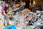 Rinsing fish at the Karaköy fish market in Istanbul, Turkey.