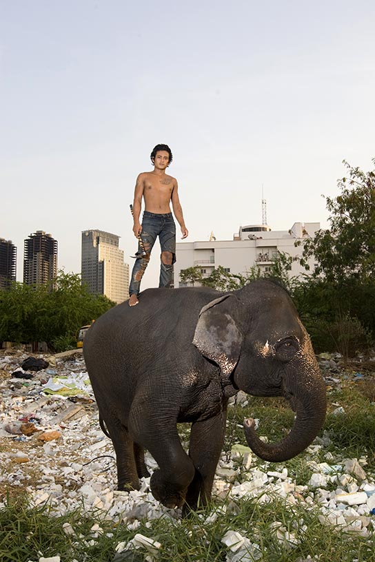 Mahout Bang poses with elephant Beepoe at a temporary camp in Bangkok. 