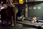 Mahouts Ooau, left, and Wan pass a homeless woman and child in the tourist area of Sukhumvit in Bangkok. 