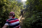 Elephants pull timber through the jungle in the Yoma mountain range.