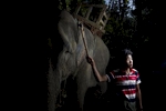 An oozie, or mahout, poses with his elephant in the Yoma mountain range. 