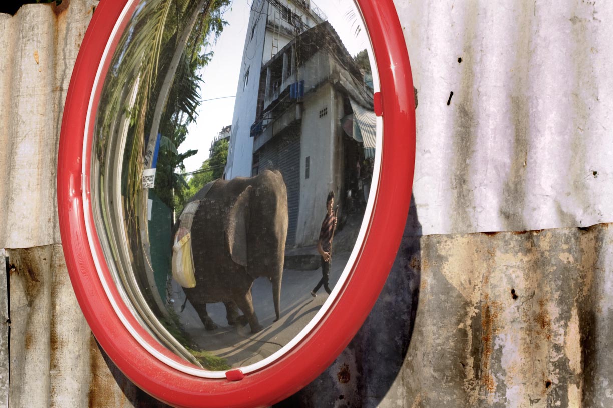 An elephant and mahout, reflected in a mirror, walk through a residential neighbourhood in Bangkok.