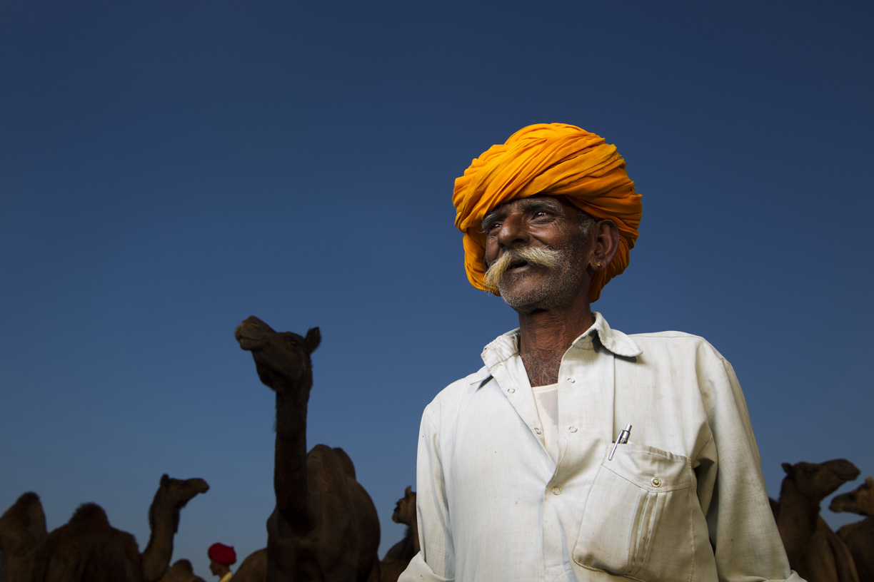 Camel trader, Pushkar, India
