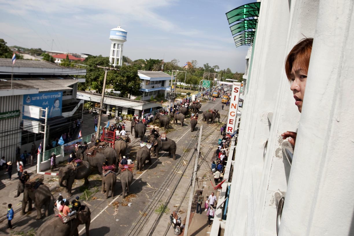 Elephants gather on a street in Surin during a parade.