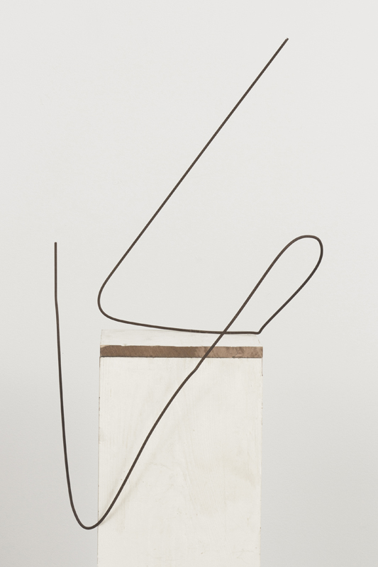 Brion Nuda RoschHistory of Mankind as Illustrated by a Line Chart / 2012 / found wire / 24 x 30 x 15{quote}