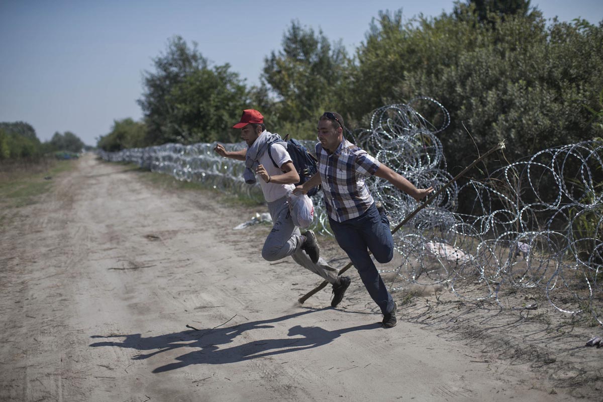 Syrian refugees jump over barbed wire on Hungary's border with Serbia, Roszke, Hungary, August 30, 2015. 