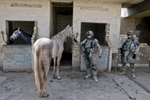 U.S. army soldiers from Blackhawk Company, 1st Battalion, 23rd Infantry Regiment, search a livery stable, Baghdad, Iraq, 2007. 