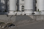 Street dogs bask in the morning sun as they sit at the entrance of a neo-classical building, Skopje, North Macedonia, Oct. 2, 2018. Dozens of historic kitsch style buildings and hundreds of monuments of all sizes were erected in the North Macedonian capital by the then nationalist government in the 2010's, with the aim of giving the city a 'more classical appeal' and to tie the country to Alexander the Great and Ancient Greek history. The project, dubbed ‘Skopje 2014’, was a point of contention in a long running dispute with neighboring Greece. 