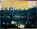 photographed with an experimental Polaroid 4x5 film never manufactured because of the closing of the Polaroid factory. 