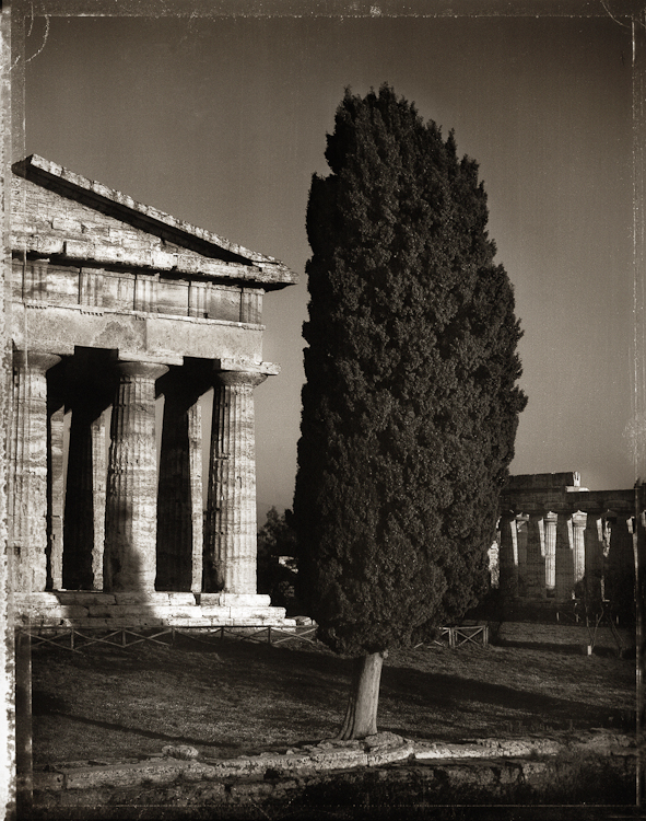 Temple to Neptune and Cypress - Paestum - Campania, ItalyArchival Pigment Print40{quote}x30{quote} Edition of 10 • 24{quote}x20{quote} Edition of 25