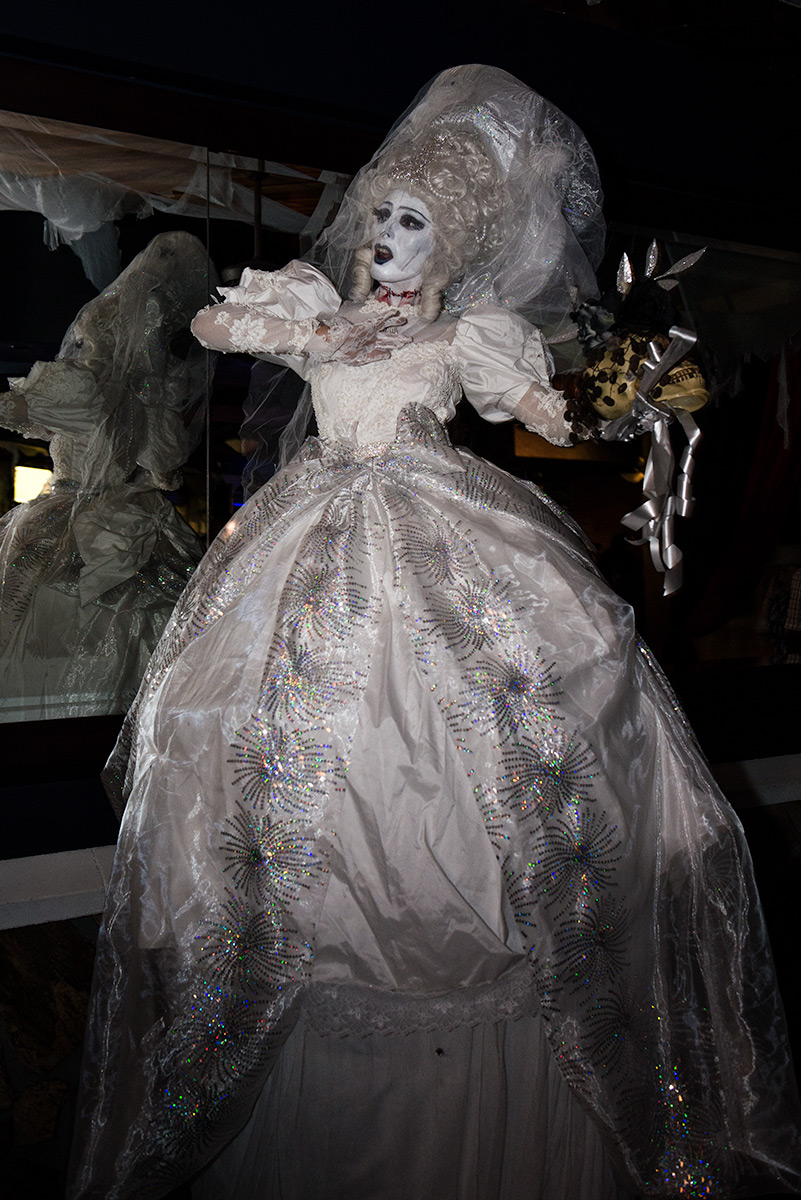 Corpse Bride ( Halloween )