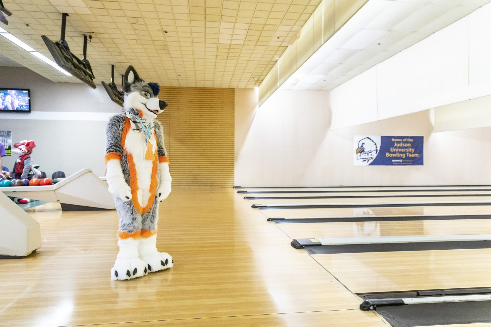 Every few weeks a group of Chicago-area furries gather at a local bowling alley to socialize. The Midwest Furbowl brings in an average of 70 people, twice a month at Polar Creek Bowl Lanes.”Lemonbrat is a boutique manufacturer that makes fursuits – full-body, stylized animal attire worn by a group of people who call themselves “furries.” Lemonbrat’s suits retail for up to $5,000. The company’s team of 16 tailors, designers and molders churn out 20 to 30 suits a month – they say they’re one of the largest fursuit makers in the country. March 23, 2019. Manuel Martinez/WBEZ