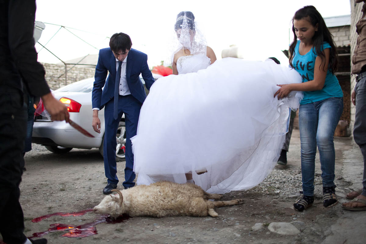 The bride and groom step over a dead sheep, which was sacrificed as part of a wedding ritual.