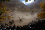 In a rare respite from the rigors of their work in the emerald mines in the mountains high over their village or from workshops and business, the men of Khenj, Afghanistan, compete in a game of Buzkashi on Friday, October 26, 2007. The popular game, banned under that Taliban, is a match between villagers on horseback pitted against each other to grab the carcass of a dead goat, or in this case, a dead calf, with its head cut off, from one location in the playing field, around a flag and set in a circle in another location. Each time a rider successfully completes the task he is cheered by the crowd gathered under the fall leaves in the shadow of the Hindu Kush. 
