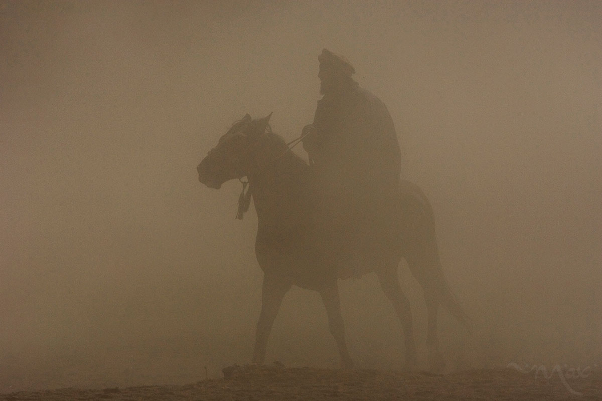  A horseman emerges from the dust of a duel for a dead calf on Friday, October 26, 2007.  