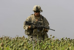 KANDAHAR, AFGHANISTAN. {quote}Kill Team{quote} leader Staff Sgt. Calvin Gibbs walks through a poppy field during a patrol to investigate one of the killings of an Afgha civilian he was connected to. 
