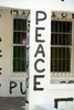peace_michael_tronn