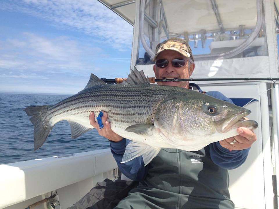Cape Cod Sportfishing, Light tackle, flyfishing and jigging and