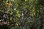 Famed author Elena Poniatowska in her garden in Chimalistac, Mexico City.