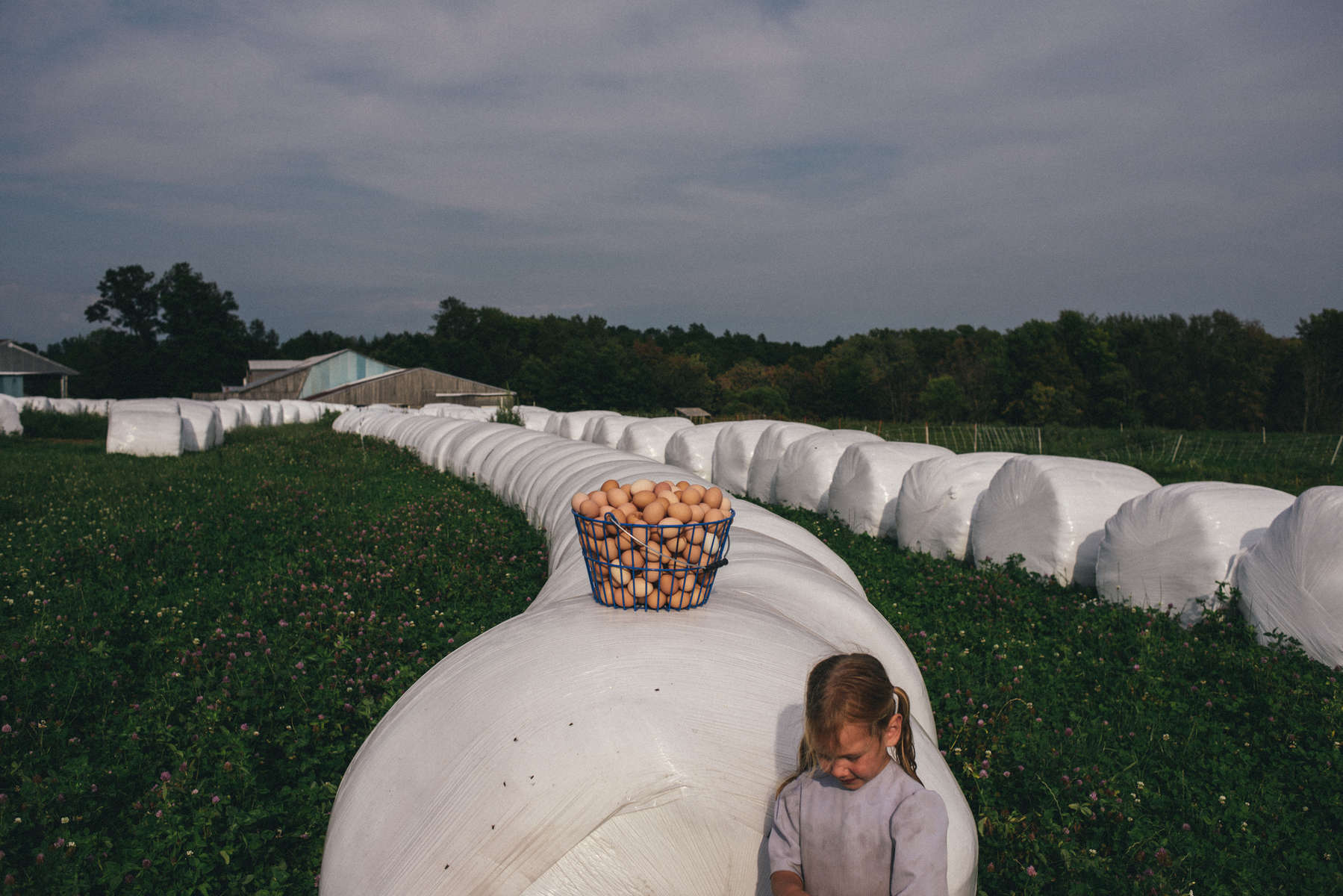This project is an ongoing exploration of the beauty, challenges and interconnectivities of life on small, family-run farms in upstate New York. 