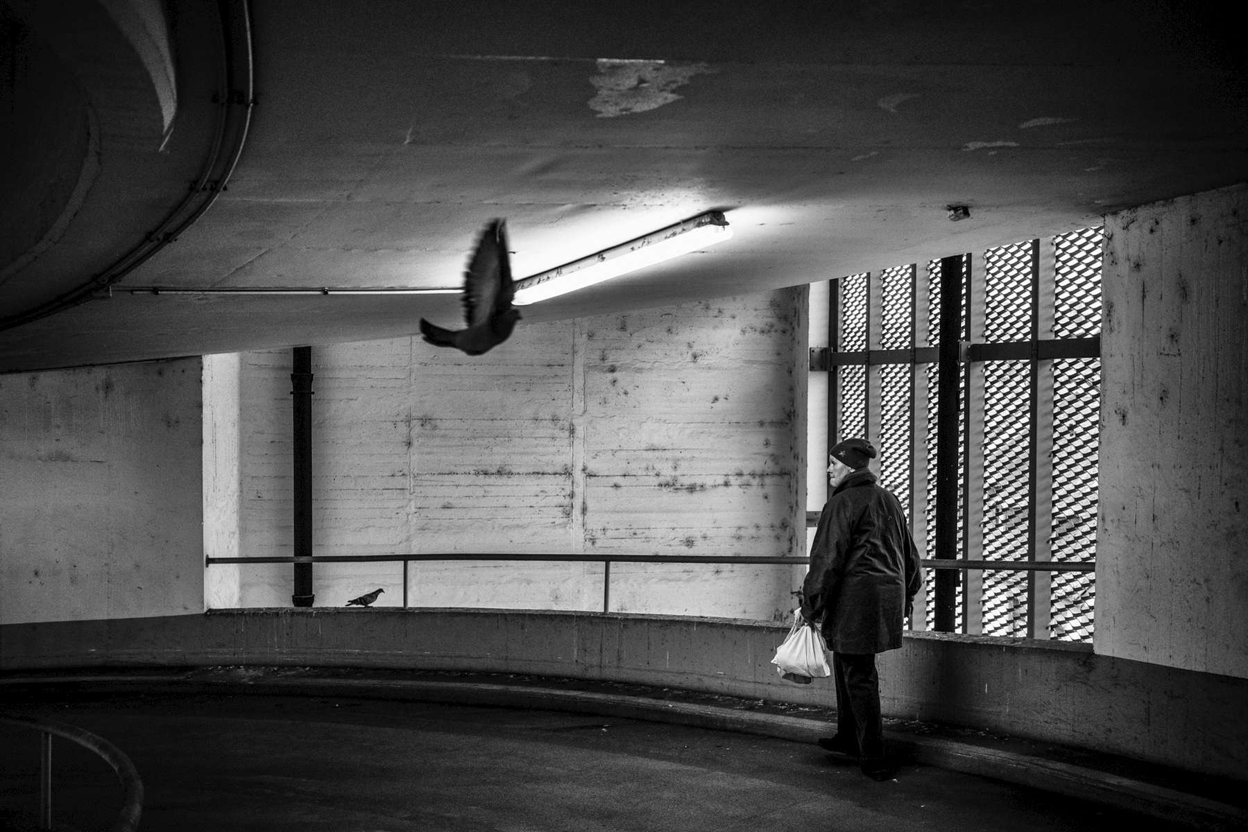 Gudrun Stürmer, head of the pigeon shelter project 'Stadttaubenprojekt' in Frankfurt, is walking through a parking garage in downtown Frankfurt on the afternoon of New Years Eve 2017 to collect injured and sick pigeons to protect them from the fireworks.